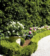 Driveway Border