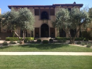 house with two trees