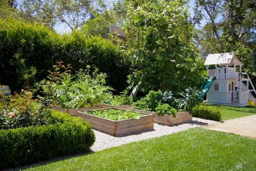 raised vegetable beds