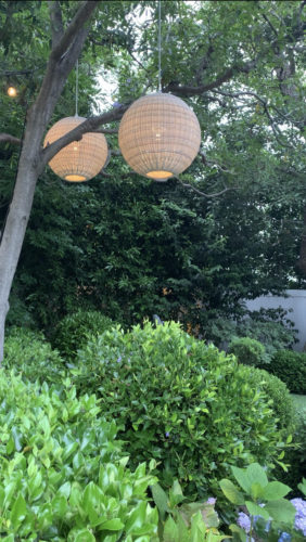hanging lanterns above bushes