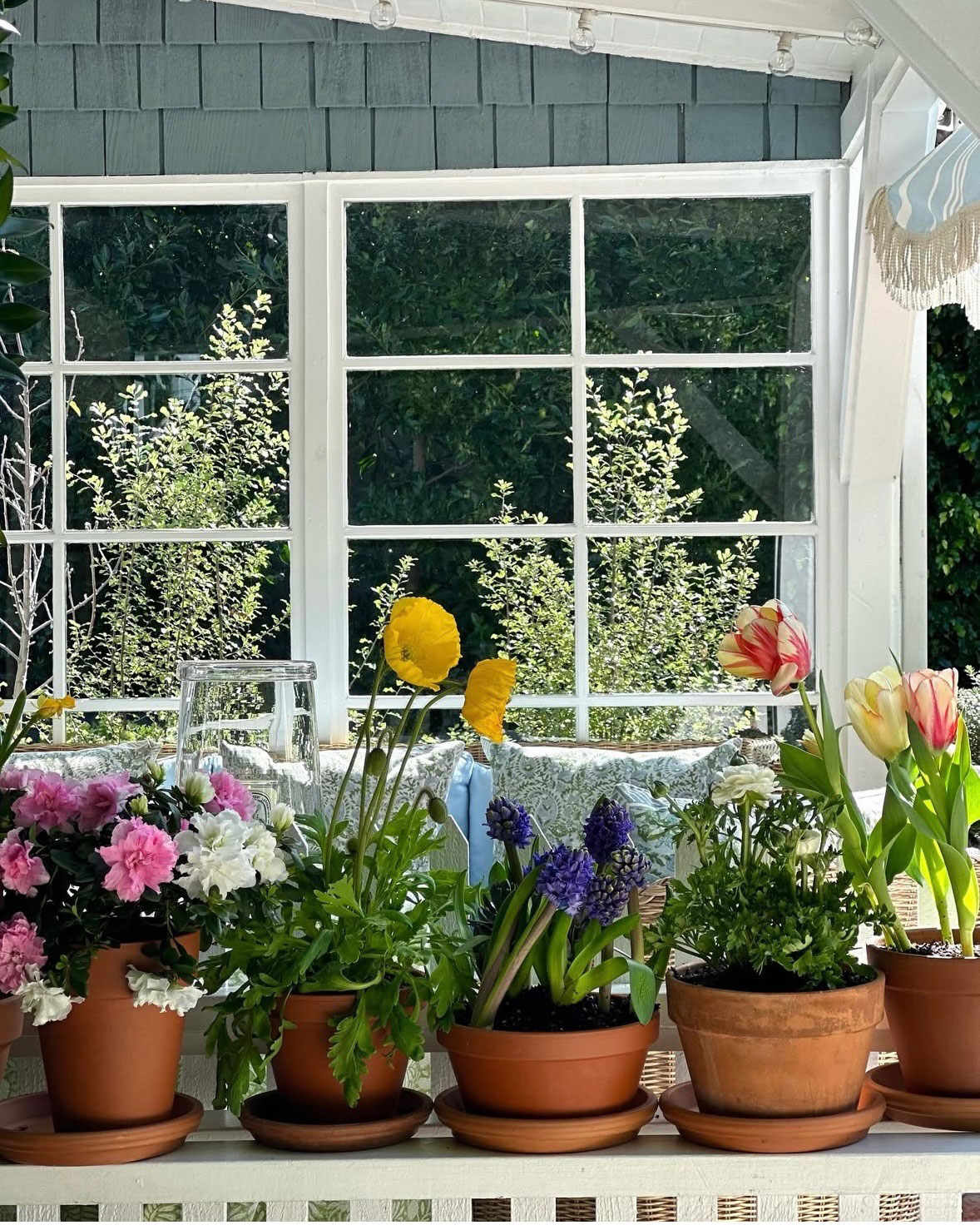 Spring Planting Ideas