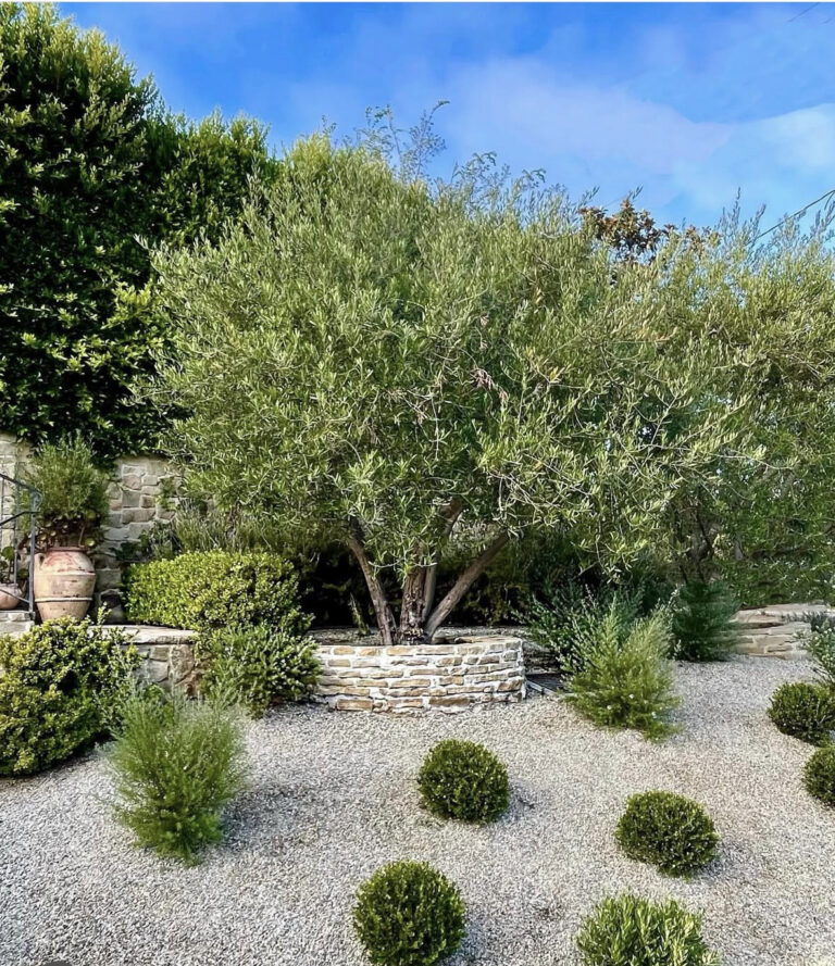 Drought-tolerant garden design with artisan stone masonry, pea gravel hardscaping, and layered green shrubbery in a luxury backyard.